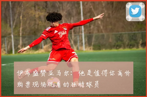 伊布盛赞亚马尔：他是值得你高价购票现场观看的独特球员